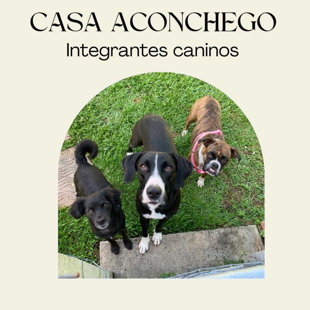 Casa Aconchego 345 Ao Lado Alles Park 波梅罗迪 外观 照片
